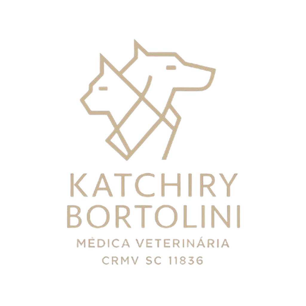 Logo Katchiry Bortolini